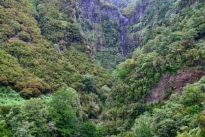 Madeira Walks - Rabaçal and the 25 Fountains