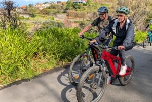 Costa Oeste de Madeira: Visita guiada en bicicleta eléctrica