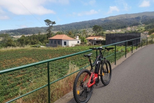 Costa Oeste de Madeira: Visita guiada en bicicleta eléctrica