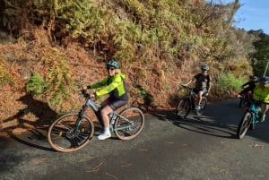 Madeira Westküste: Geführte Sightseeing E-Bike Tour