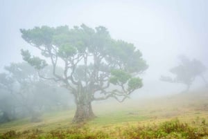 Madeira: Excursión de un día a la Isla Oeste