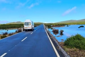 Heldagstur til Madeiras vestlige ø med Fanal-skoven