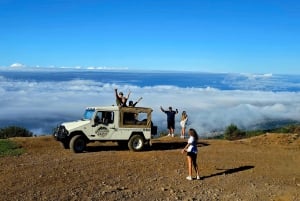 Madeira West Jeep Tour – Fanal, Seixal, naturliga pooler och små grupper