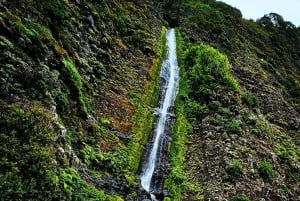 Madeira West Jeep Tour – Fanal, Seixal, naturliga pooler och små grupper