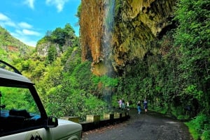 Madeira West Jeep Tour – Fanal, Seixal, naturliga pooler och små grupper