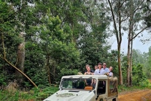 Madeira West Jeep Tour – Fanal, Seixal, naturliga pooler och små grupper