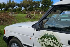 Madeira West Jeep Tour – Fanal, Seixal, naturliga pooler och små grupper