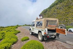 Madeira West Jeep Tour – Fanal, Seixal, naturliga pooler och små grupper