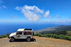 Madeira West Jeep Tour – Fanal, Seixal, naturliga pooler och små grupper