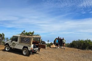 Madeira West Jeep Tour – Fanal, Seixal, naturliga pooler och små grupper