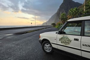Madeira West Jeep Tour – Fanal, Seixal, naturliga pooler och små grupper