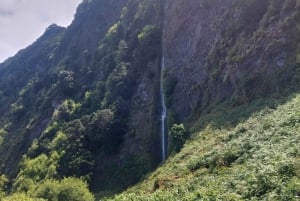 Madeira West Safari - Porto Monizin luonnon laava-altaat