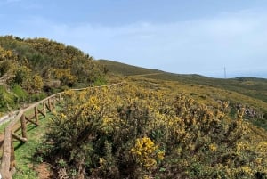 Madeira West Safari - Porto Monizin luonnon laava-altaat