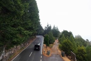 Cabo Girão, Seixal, Porto Moniz & more – Full Day + PickUp