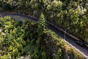 Cabo Girão, Seixal, Porto Moniz & more – Full Day + PickUp