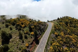 Cabo Girão, Seixal, Porto Moniz & more – Full Day + PickUp