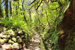 Cabo Girão, Seixal, Porto Moniz & more – Full Day + PickUp