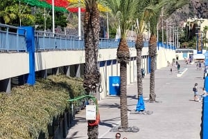 Cabo Girão, Seixal, Porto Moniz & more – Full Day + PickUp