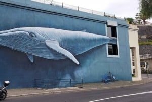 Cabo Girão, Seixal, Porto Moniz & more – Full Day + PickUp