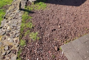 Cabo Girão, Seixal, Porto Moniz & more – Full Day + PickUp