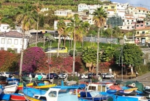 Cabo Girão, Seixal, Porto Moniz & more – Full Day + PickUp