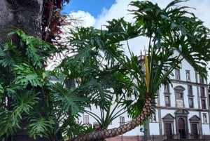 Cabo Girão, Seixal, Porto Moniz & more – Full Day + PickUp