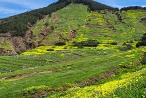 Cabo Girão, Seixal, Porto Moniz & more – Full Day + PickUp