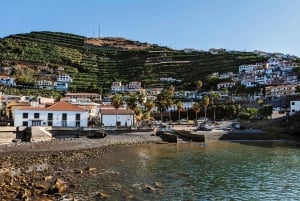 Madeira: Western Madeira Guided Trip & Fanal Mystic Forest