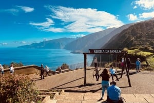 Madeira: Western Madeira Guided Trip & Fanal Mystic Forest