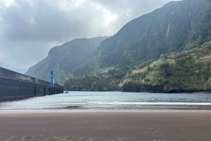 Madeira: Western Madeira Guided Trip & Fanal Mystic Forest