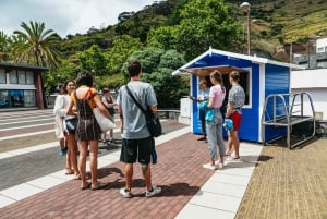 From Machico: Madeira Whale and Dolphin Watching Boat Tour