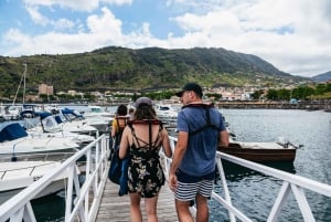 From Machico: Madeira Whale and Dolphin Watching Boat Tour