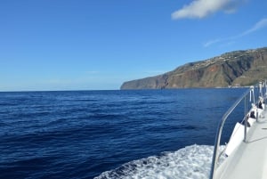 Madeira: walvissen en dolfijnen kijken privé cruise