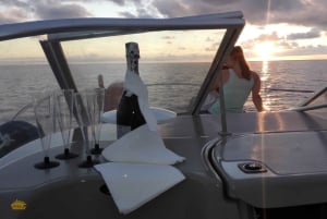 Madeira: Cruzeiro privado de observação de baleias e golfinhos