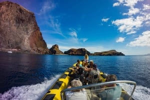 Madeira: Valaiden ja delfiinien katselu