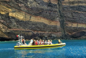 Madeira: Valaiden ja delfiinien katselu