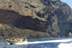 Madeira: Valaiden ja delfiinien katselu