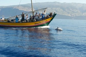 Madeira: Whale Watching Excursion in a Traditional Vessel