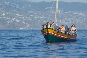 Madeira: Whale Watching Excursion in a Traditional Vessel