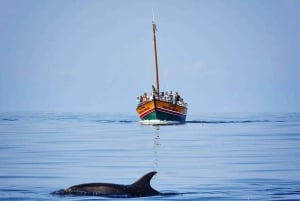 Madeira: Whale Watching Excursion in a Traditional Vessel