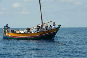 Madeira: Whale Watching Excursion in a Traditional Vessel