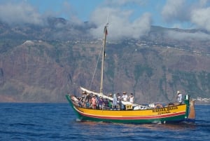 Madeira: Whale Watching Excursion in a Traditional Vessel