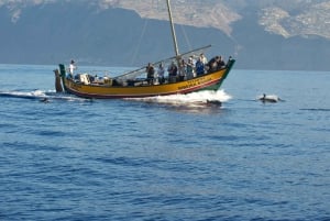 Madeira: Whale Watching Excursion in a Traditional Vessel