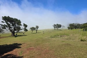 Madeira: Where the Sea Meets the Sky: Tour of the West