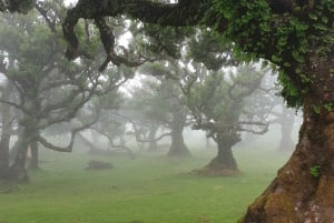 Madeira Wild West 4X4 Private Tour