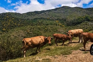 Madeira Wild West 4X4 Private Tour