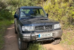 Madeira: NorthWest 4x4 Full Day Tour with Local Guide