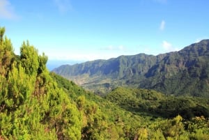 Madeira: Wine Safari Jeep Tour with Local Guide