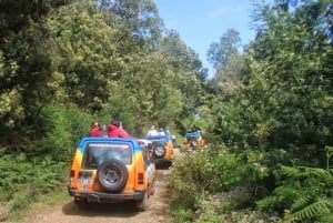 Madeira : Wine&Tapas, Cabo Girão skywalk 4x4 Jeep Adventure