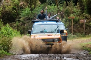 Madeira : Wine&Tapas, Cabo Girão skywalk 4x4 Jeep Adventure